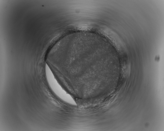 X0000097660407200803211924