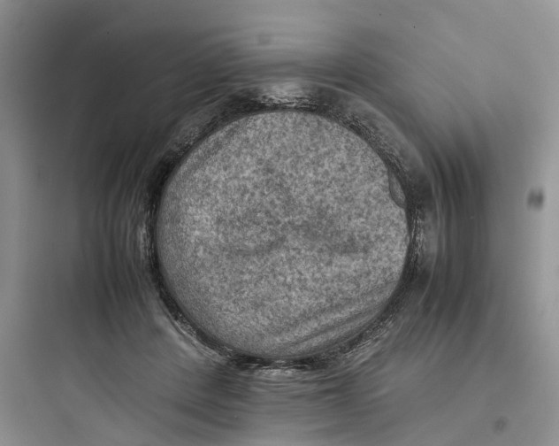 X0000097660408200803211924