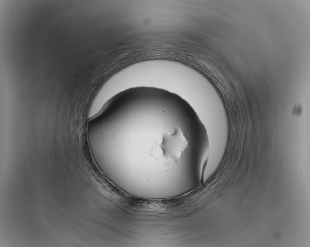 X0000097660409200803211924