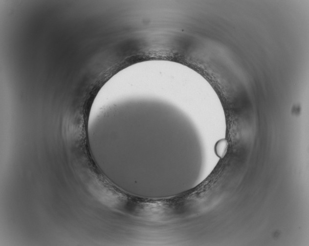 X0000097660411200803211924
