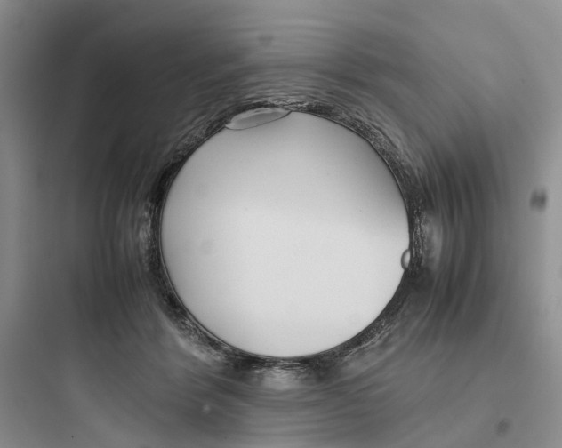 X0000097660412200803211924