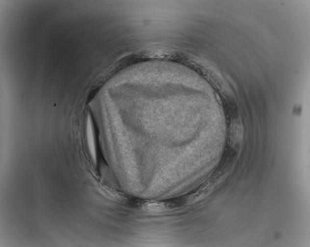 X0000097660413200803211924