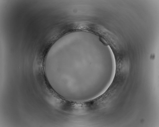 X0000097660415200803211924