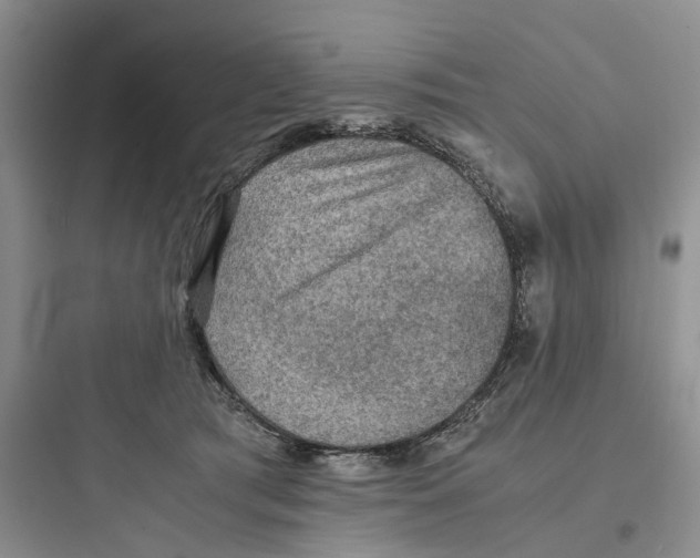X0000097660417200803211924