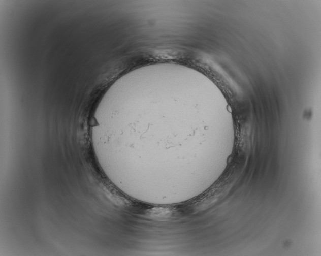 X0000097660418200803211924