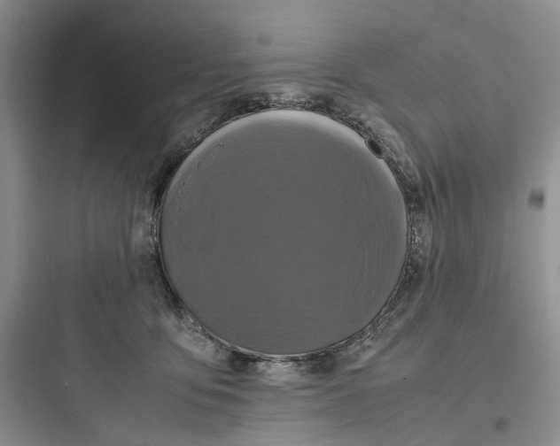 X0000097660419200803211924