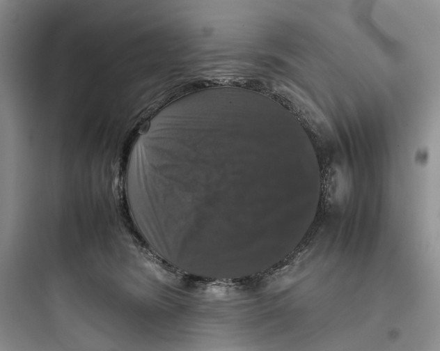 X0000097660420200803211924