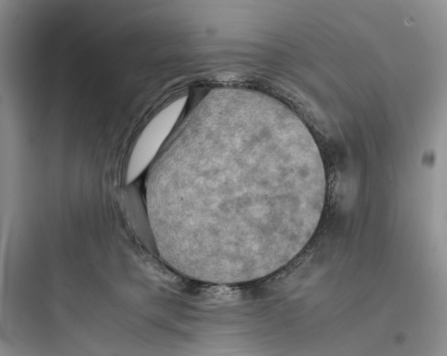 X0000097660421200803211924