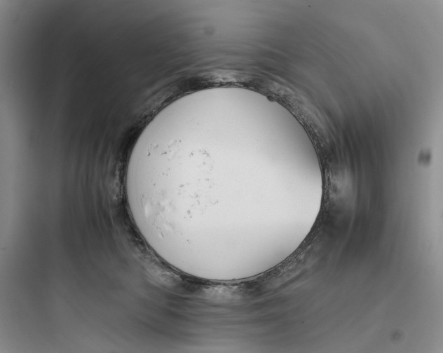 X0000097660422200803211924
