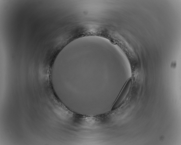 X0000097660423200803211924