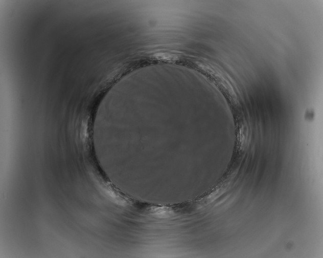 X0000097660424200803211924