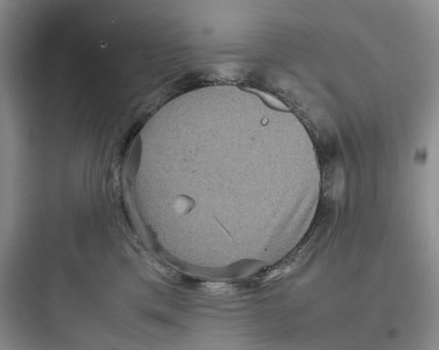 X0000097660425200803211924