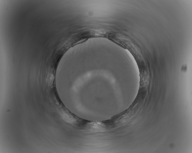 X0000097660427200803211924