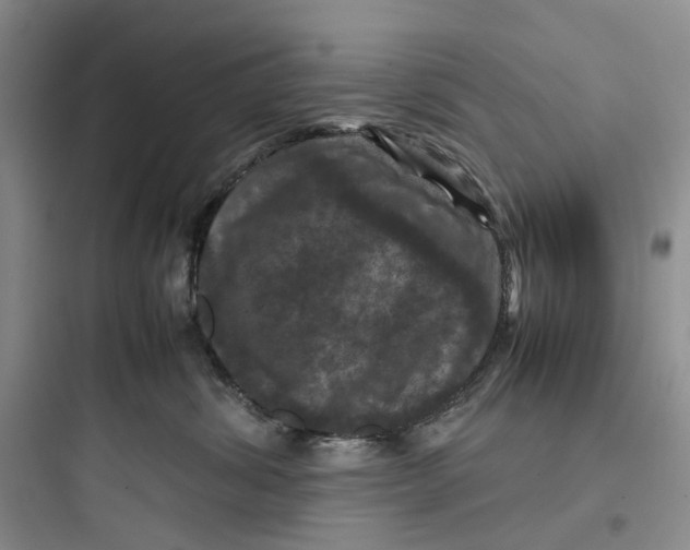 X0000097660428200803211924