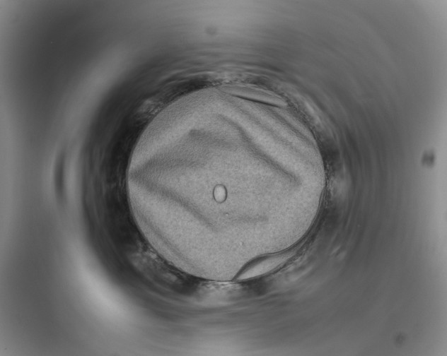 X0000097660429200803211924