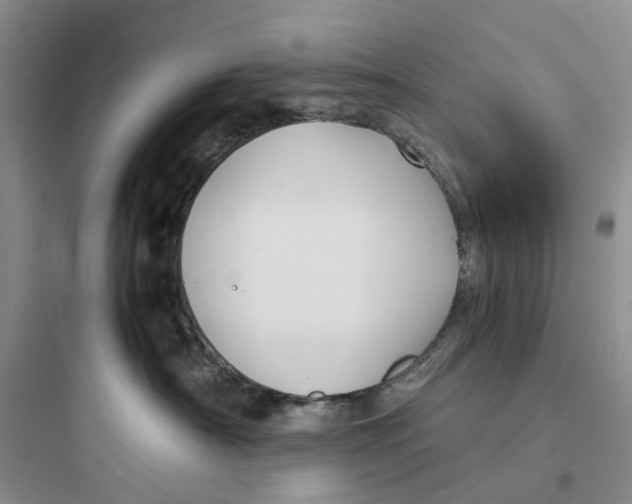 X0000097660430200803211924