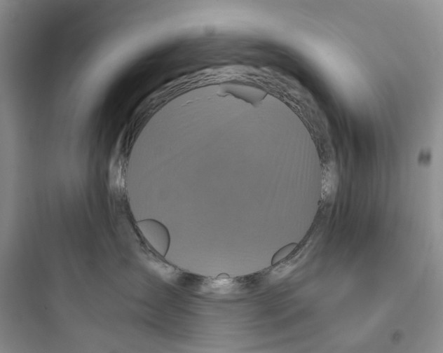 X0000097660431200803211924