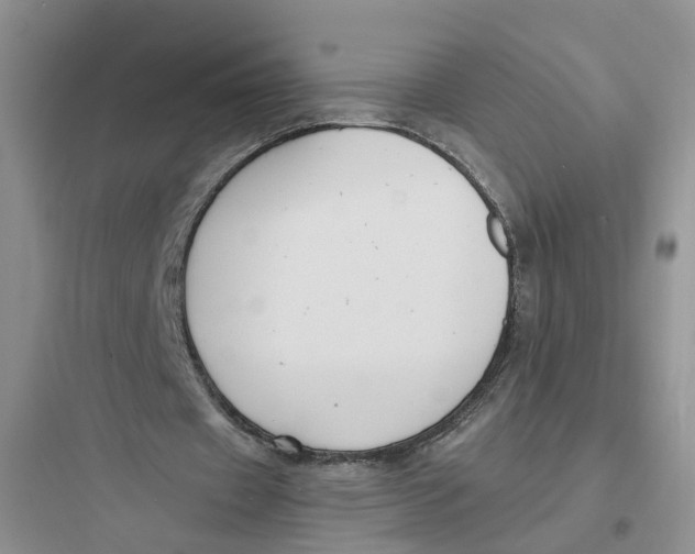 X0000097660433200803211923