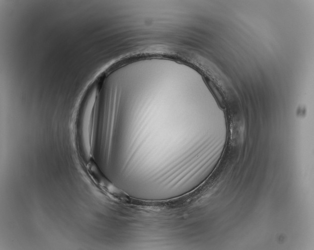 X0000097660436200803211923