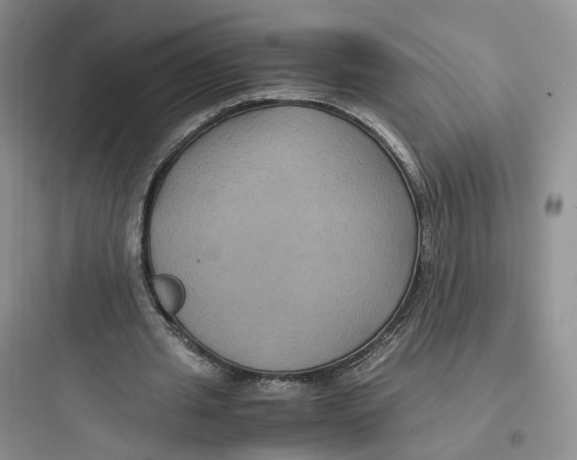 X0000097660437200803211923