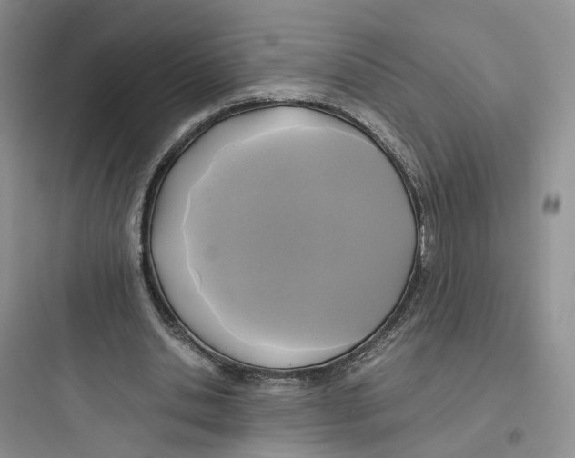 X0000097660438200803211923