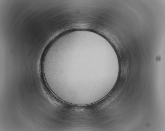 X0000097660439200803211923