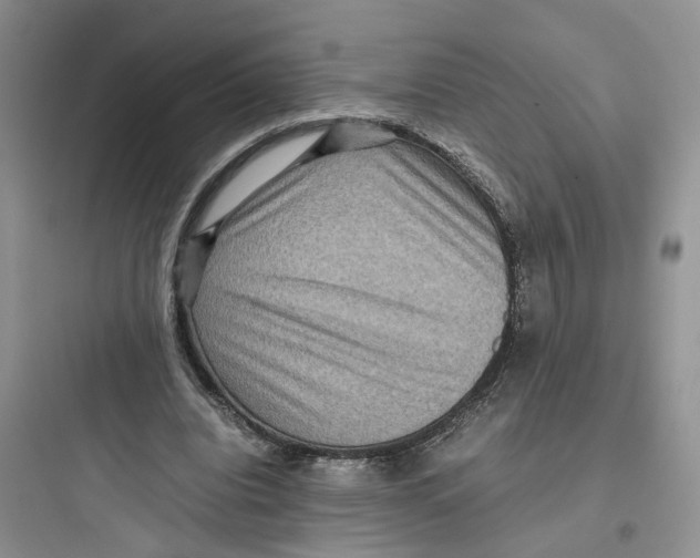 X0000097660440200803211923