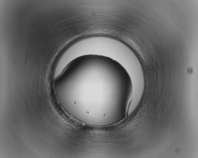 X0000097660444200803211923