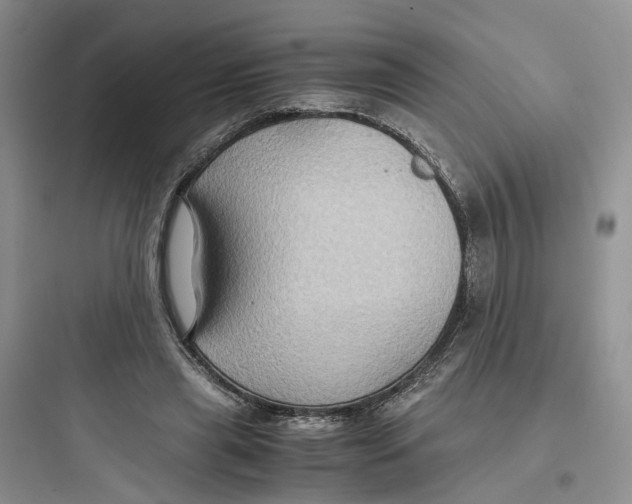 X0000097660445200803211923