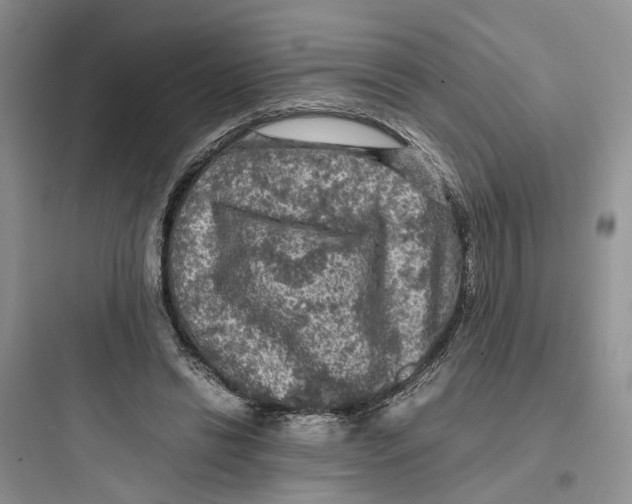 X0000097660446200803211923