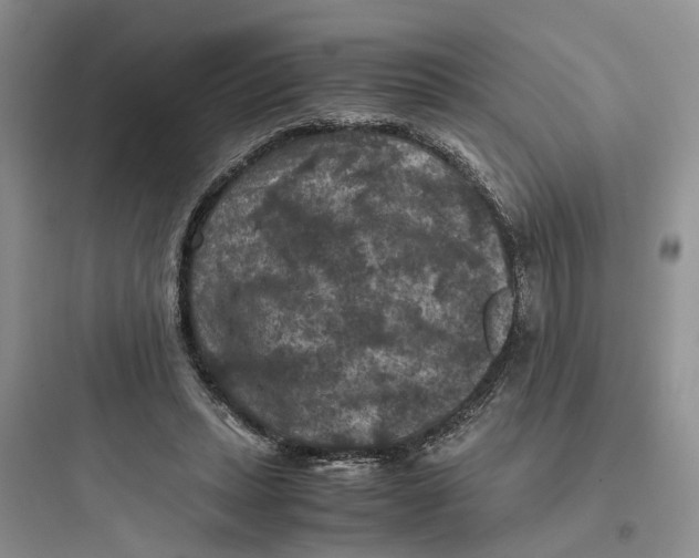 X0000097660447200803211923