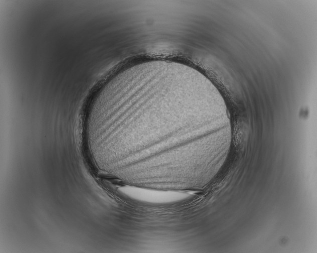 X0000097660448200803211923