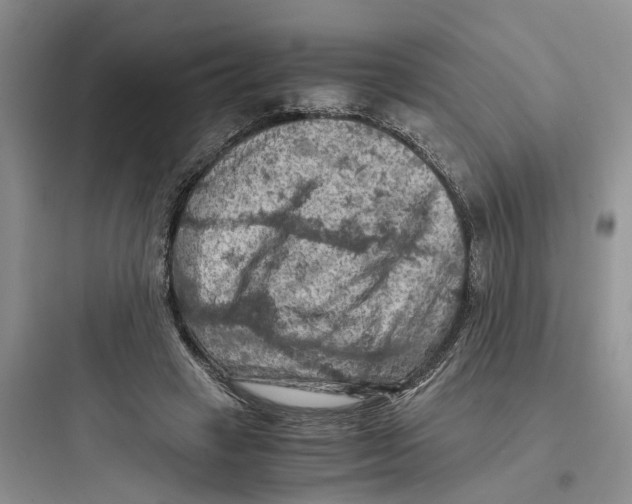 X0000097660449200803211923