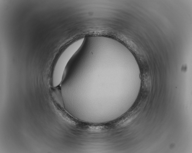 X0000097660450200803211923