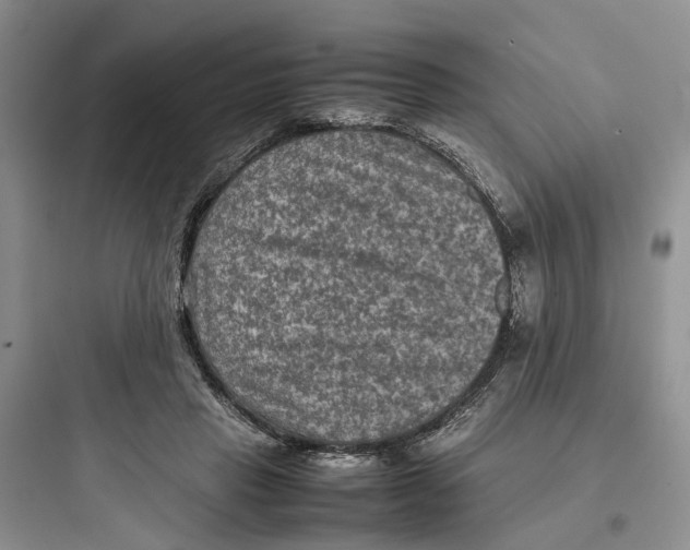 X0000097660453200803211923
