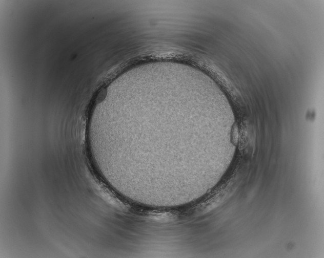 X0000097660454200803211923