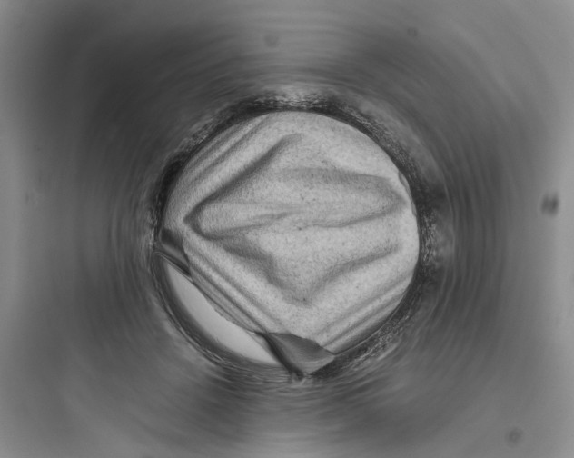 X0000097660456200803211923
