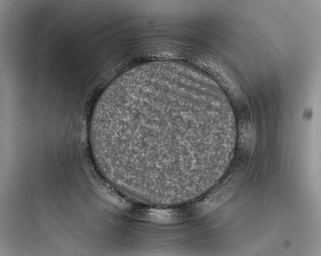 X0000097660457200803211923