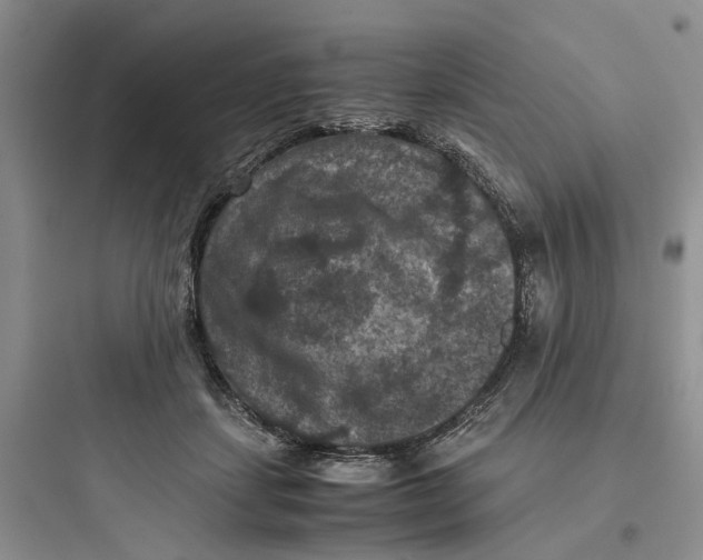 X0000097660459200803211923