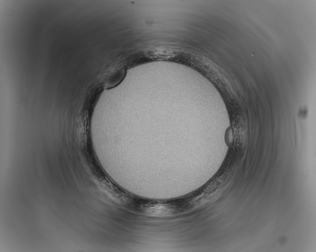 X0000097660460200803211923