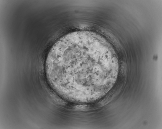 X0000097660461200803211923