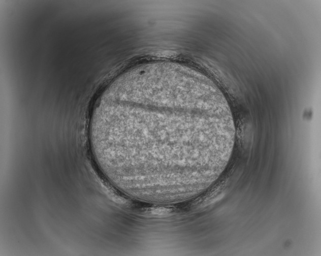 X0000097660462200803211923