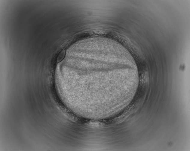 X0000097660464200803211923