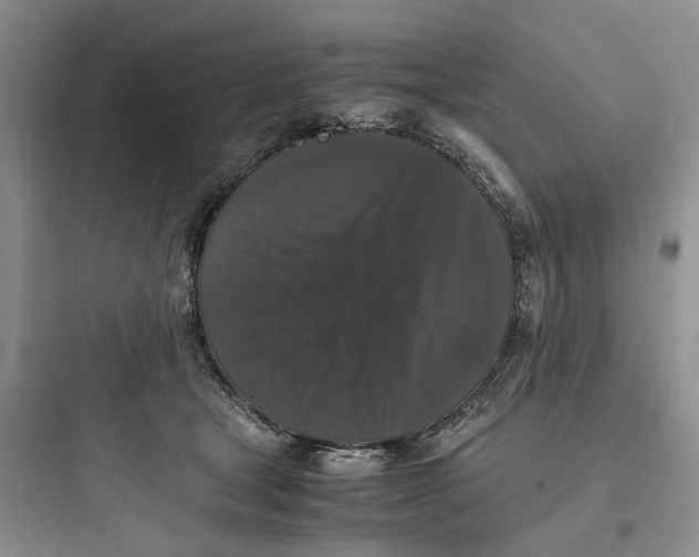 X0000097660465200803211923