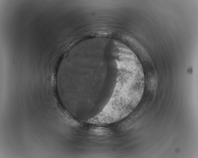 X0000097660467200803211923