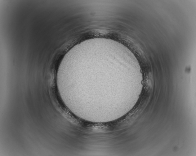 X0000097660468200803211923