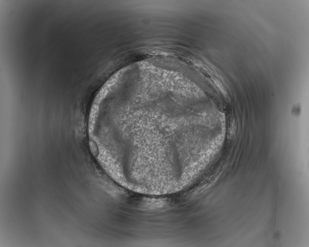 X0000097660469200803211923