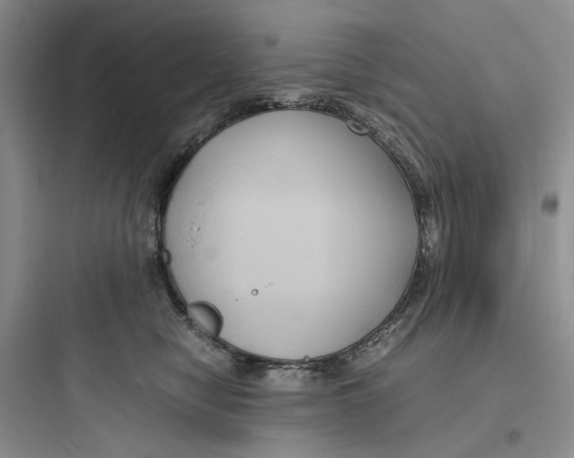 X0000097660470200803211923