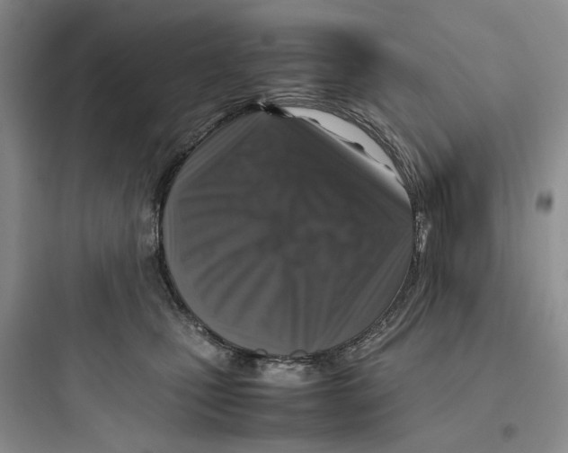 X0000097660471200803211923