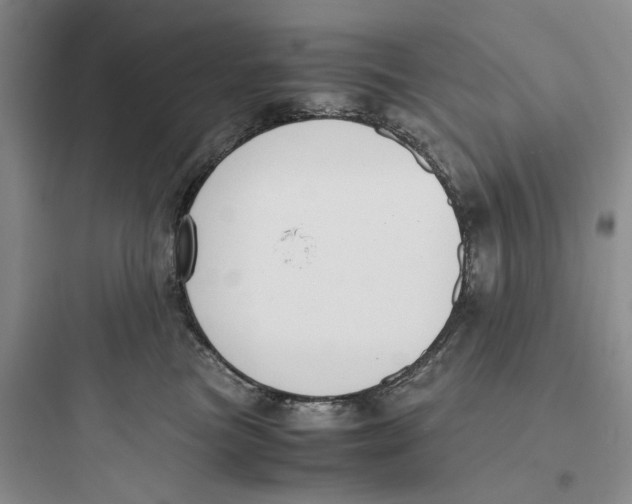 X0000097660473200803211923